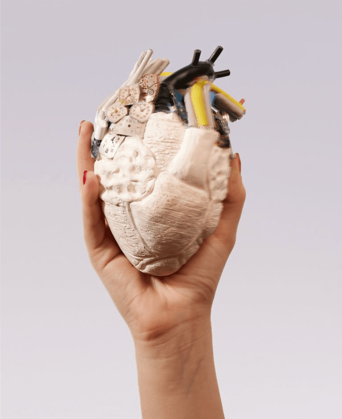 PYGMALION'S HEART