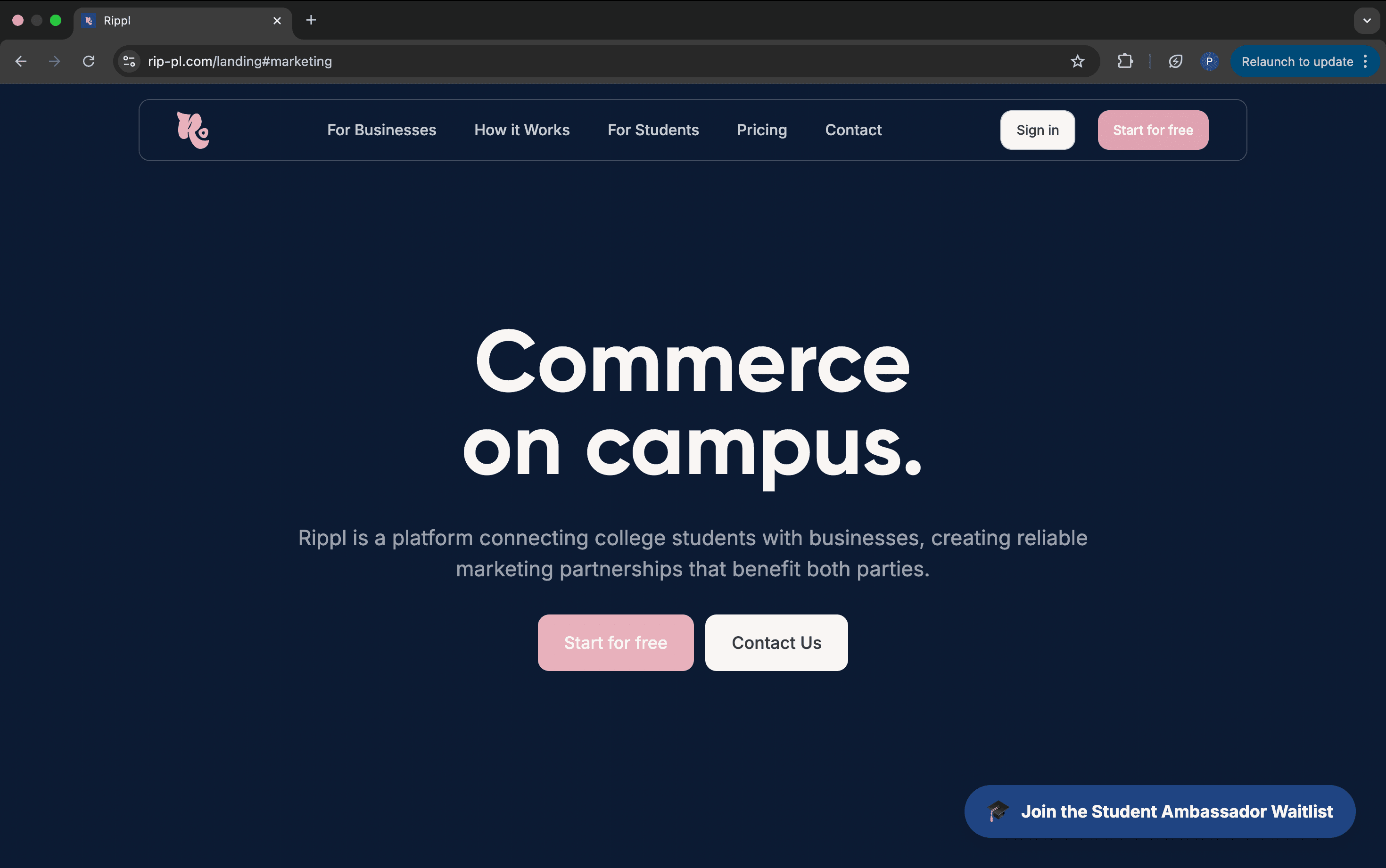Web Development image 2