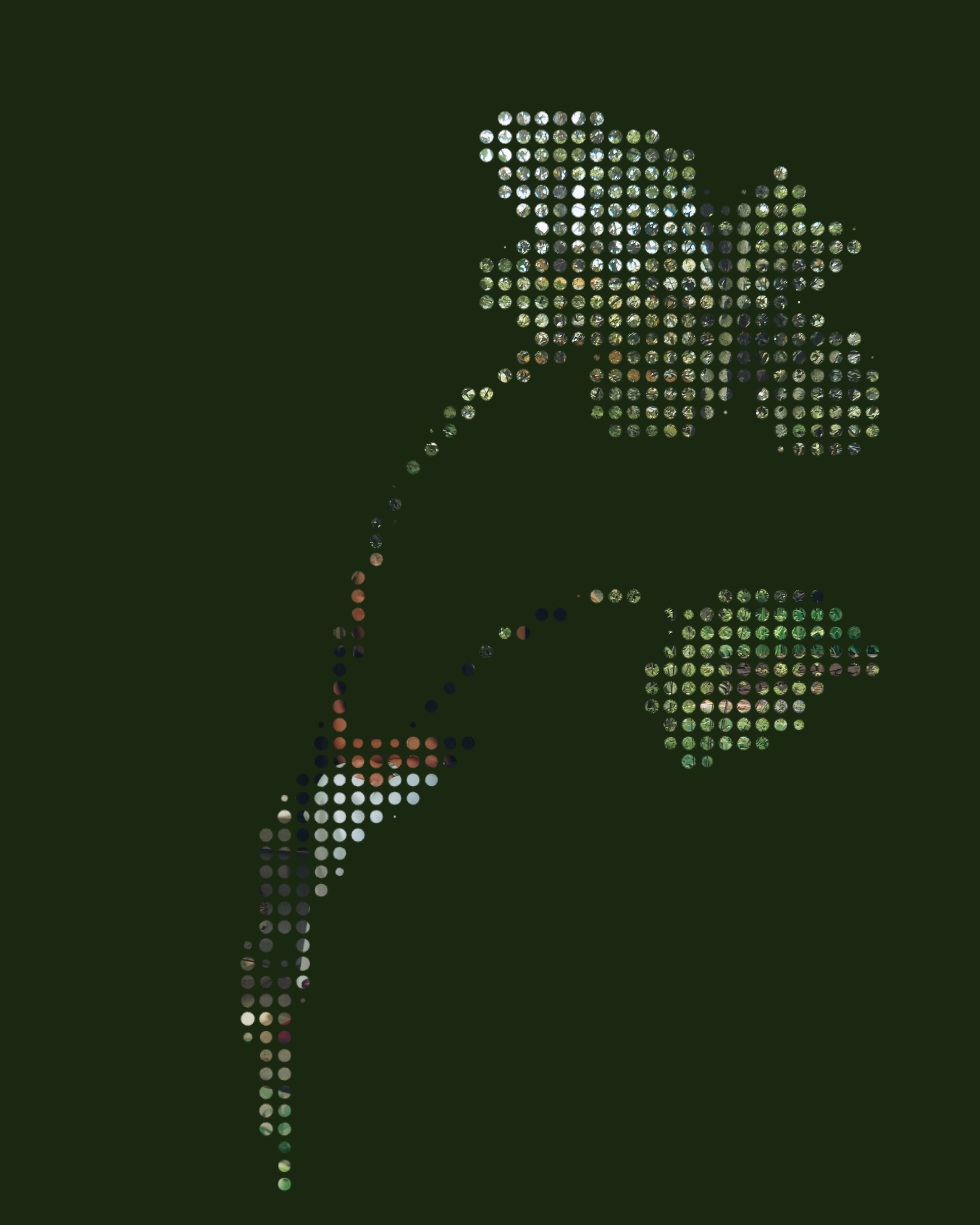 Halftones image 3