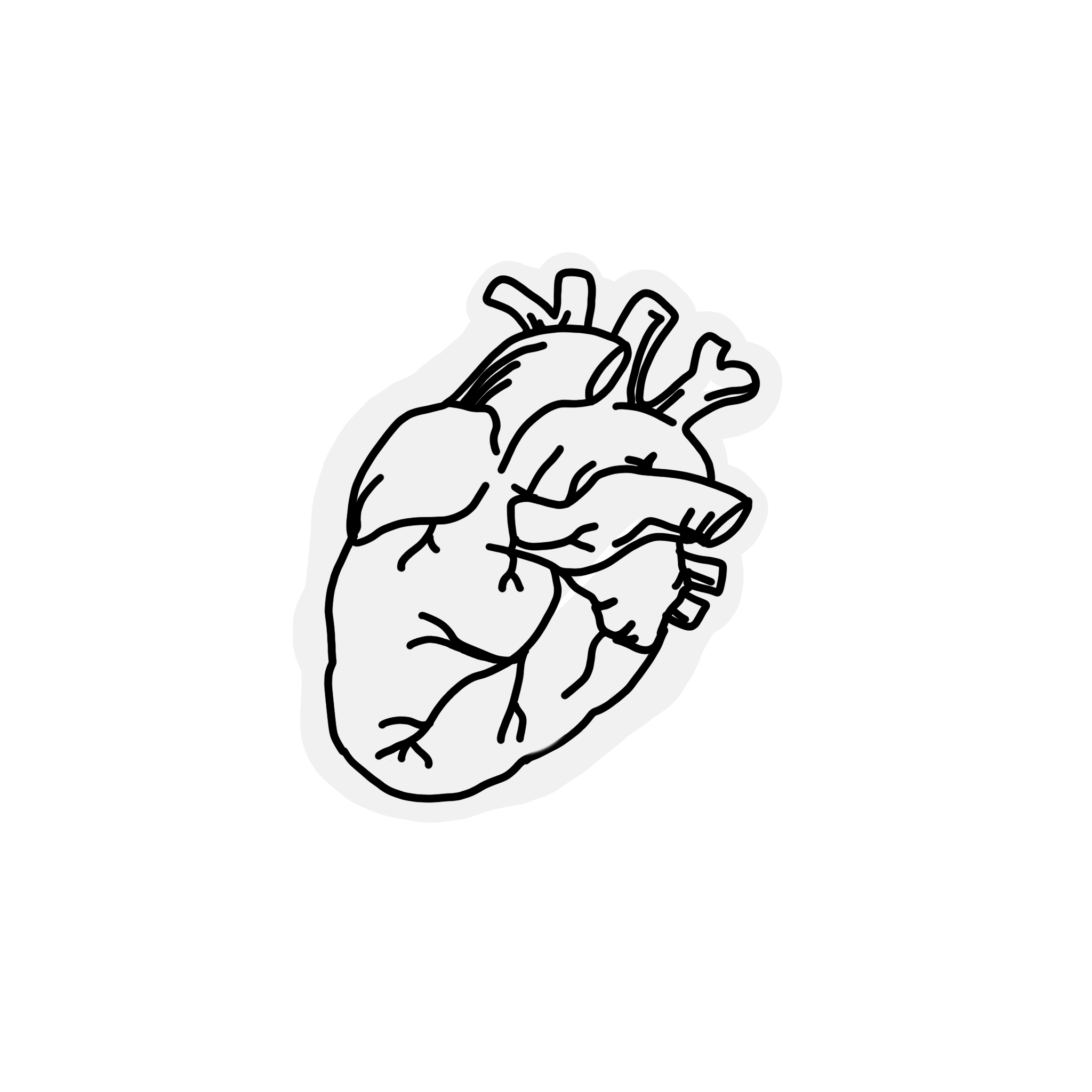 heart